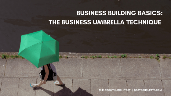 Business Building Basics: The Business Umbrella Statement