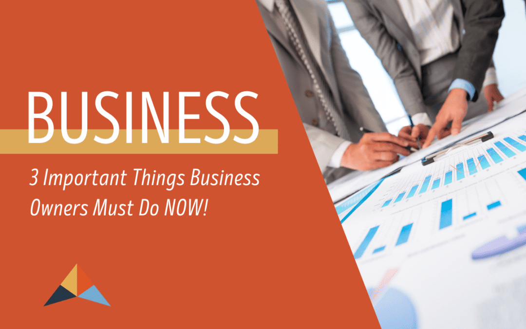 3 Important Things Business Owners Must Do NOW