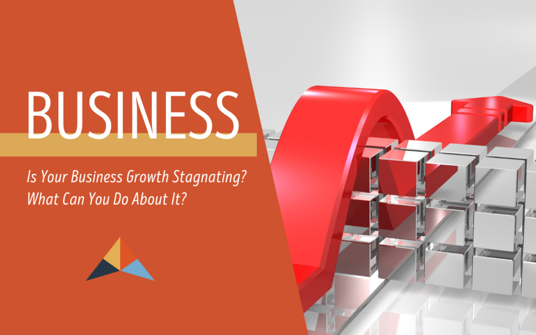 Is Your Business Growth Stagnating?  What Can You Do About It?